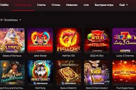 Обзор игорного бизнеса 7K